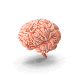 brain-department.png