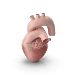 heart-department.png